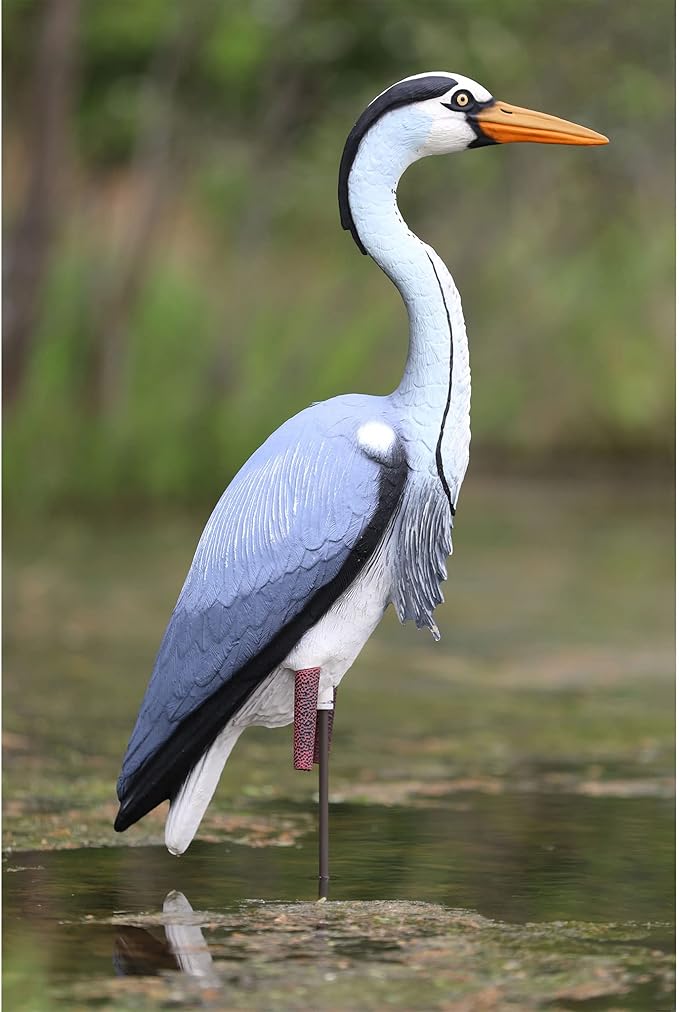 Higdon Outdoors Blue Heron Confidence Decoy for Waterfowl and Ornamental Water Garden, Pond and Landscape Decoration Plus Pest Deterrent