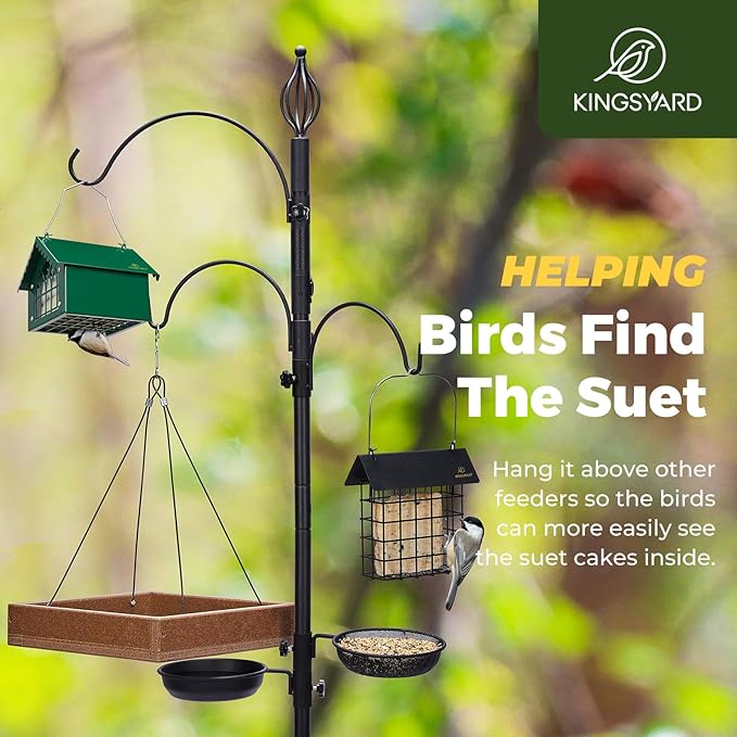 Kingsyard Double Upside Down Suet Feeder Squirrel Proof with Weatherproof Roof, All Metal Suet Feeders for Outdoors Hanging, Great for Downy Woodpecker Nuthatch Chickadee, Green