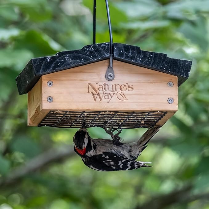 Nature's Way Bird Products CWF2 Cedar Suet Upside-Down Bird Feeder, Black