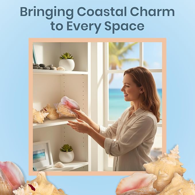 Nautical Crush Trading Conch Shell Decor - Seashell Decor - Imperfect (8-10in) Large Sea Shell - Shells for Decoration - Large Seashells for Craft - Magic Conch Shell Room Decor