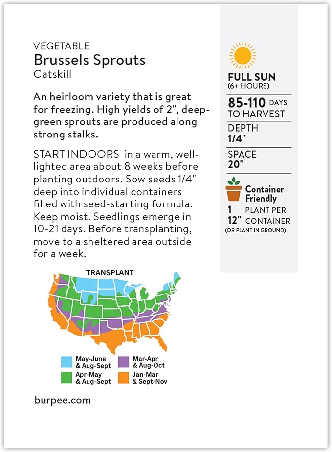 Burpee Heirloom Catskill Brussels Sprouts Seeds - Compact, High-Yielding Variety