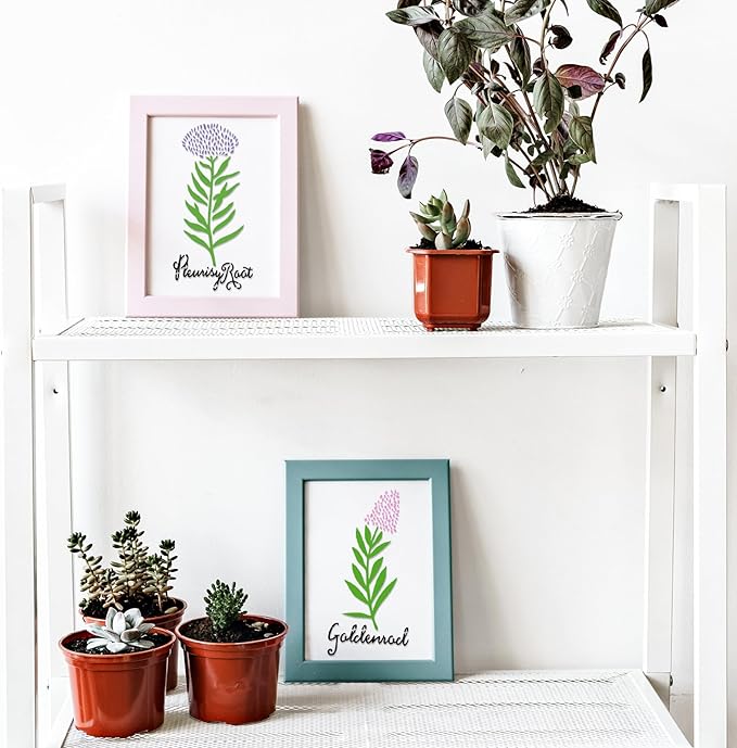 Jecery 20 Pcs Herb Stencils for Craft Painting on Wood Reusable DIY Craft Paint Template Herb Botanical Leaf Garden Kitchen Plant Stencils for Art Scrapbook Wall(5.91 x 3 Inches)