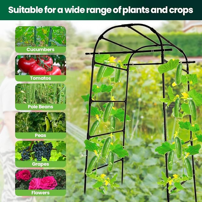 Garden Arch Trellis, 80'' Tall Walk-Through Plant Support for Climbing Vines Flowers Vegetables Grapes and Tomatoes Sturdy Outdoor Metal Arbor for Raised Beds