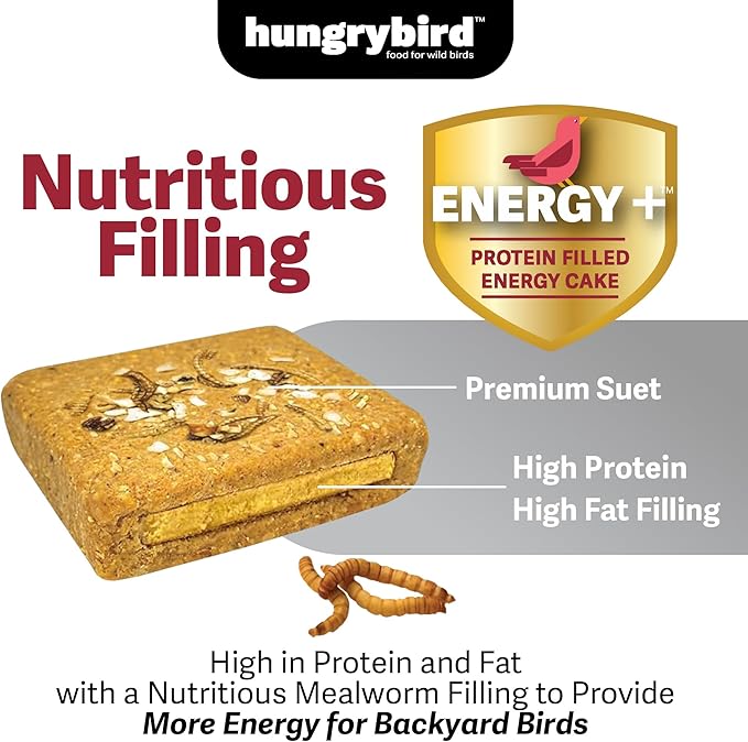 Energy+ No-Melt, High-Protein Suet Cake with Mealworm Filling for Outside Wild Bird Feeders