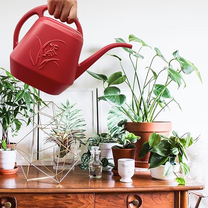 Watering Can for Indoor and Outdoor Plant - 1/2 Gallon - Wine Red