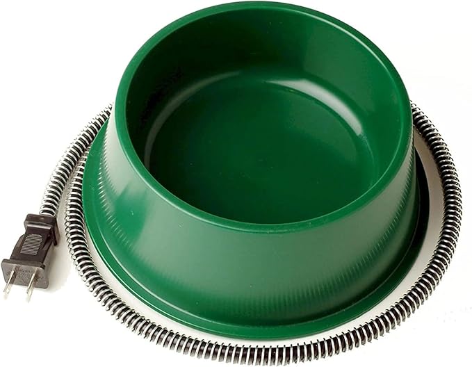 Farm Innovators QT-1 1 Quart Electric Heated Pet Water Bowl with Thermostatic Control and Anti Chew Cord Protector, 25 Watt, Green (3 Pack)