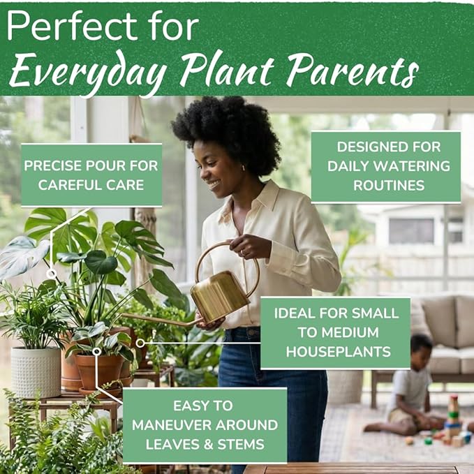 Stainless Steel Watering Can for Houseplants by Houseplant Resource Center | 1L Capacity for Indoor/Outdoor Plants in Brushed Gold