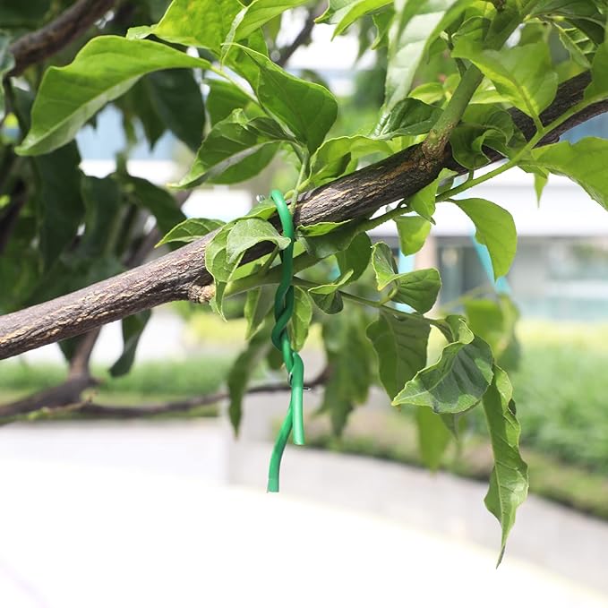 KINGLAKE GARDEN Soft Plant Ties for Support - Plant Wire 3.5mm 65.6 Feet Green Flexible Garden Ties for Outdoor Indoor Climbing Plants