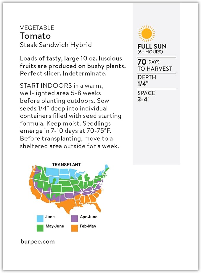 Burpee 'Steak Sandwich Hybrid' Tomato Seeds for Planting - Non-GMO, Indeterminate, Sandwich Slicer Tomato, Burpee Bred, 45mg Seed Packet for Home Garden