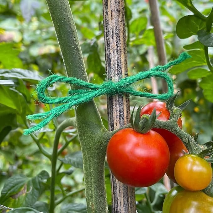 Tenn Well Jute Garden Twine, 328 Feet 3mm Heavy Duty Tomato Twine, Green Plant Ties for Gardening, Climbing Plants, Vegetables, Crafting