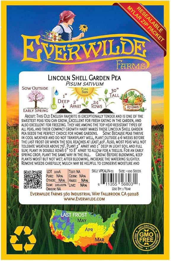 Everwilde Farms - 100 Lincoln Shell Pea Seeds - Gold Vault Jumbo Seed Packet