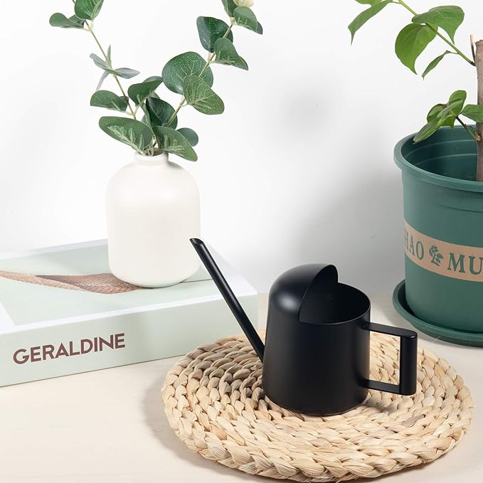 IMEEA Mini Watering Can for Indoor Plants Stainless Steel Small Watering Can 11oz/300ml