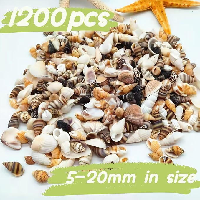 1200 PCS Tiny Sea Shells &10 Small Starfish - Mixed Ocean Beach Spiral Seashells for Fish Tank and Vase Filler, Beach Theme Party, Wedding Decor - DIY Craft Supplies