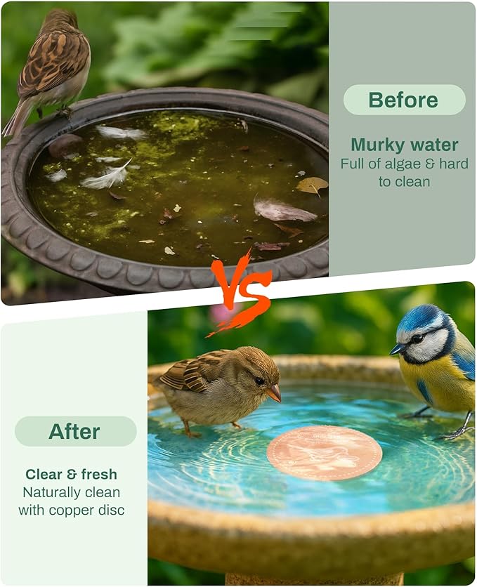 Bird Bath Purification Disk Pure Copper Outside Winter Solar Power Birdbath Heater Deicer Cage Hanging Bowl Metal Warmer Deck Railing Glass Concrete Ceramic Stone Stand Outdoor Fountain 3PCS