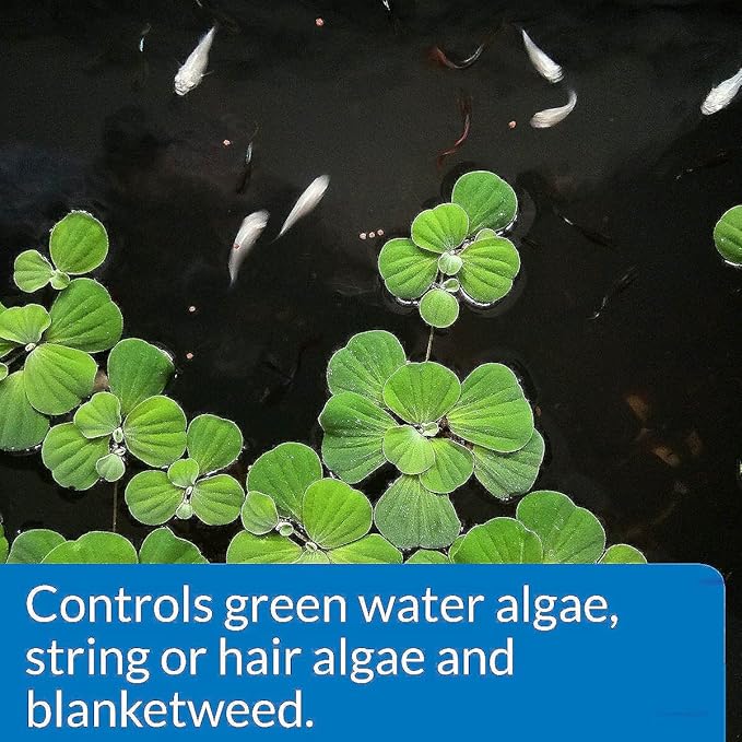 API POND ALGAEFIX Algae Control 32-Ounce Bottle, FISHAQUARI (169G)
