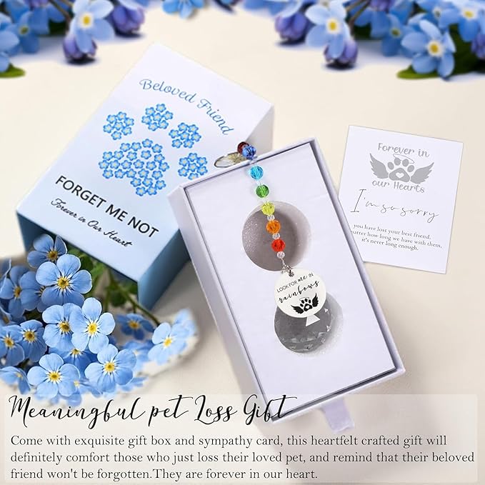 Pet Memorial Suncatcher Loss of Dog Sympathy Gift, Rainbow Bridge Dog Bereavement Cat Memorial Gifts, Passing Away Remembrance Gifts (1, Round)
