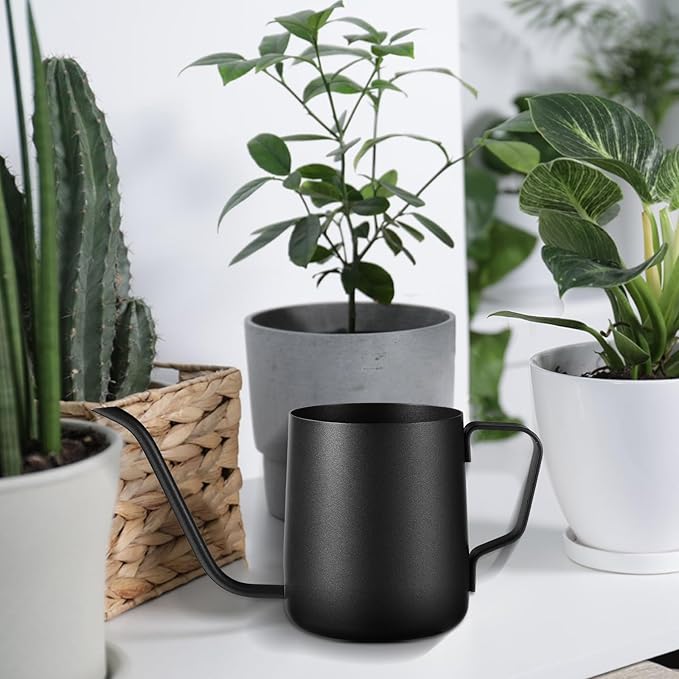 Plant Watering Can, 12 oz / 350 ml Stainless Steel Plant Watering Pot Small Watering Can with Long Spout for Indoor House Plants Flower Bonsai Outdoor Garden