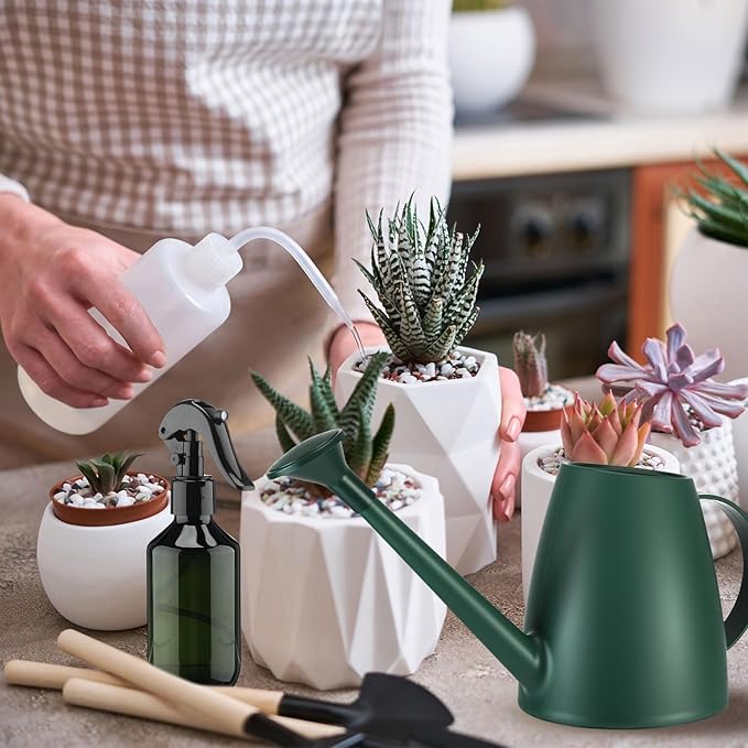 6 Pcs Indoor Watering Can Set 1/2 Gallon Can 6.8 oz Spray Bottle 17 oz Squeeze Bottle Plant Watering Globes Soil Moisture Meter Small Spraying Set for Indoor Outdoor Plants (Dark Green)