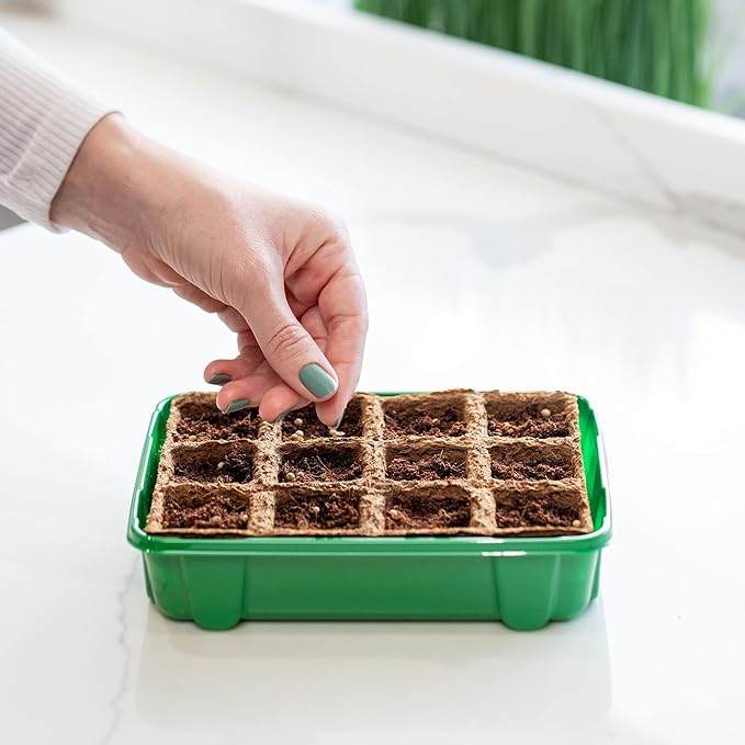 Back to The Roots 12-Cell Greenhouse Germination Kit | Seed Starting Tray with Pots & Vented Lid for Indoor Gardening