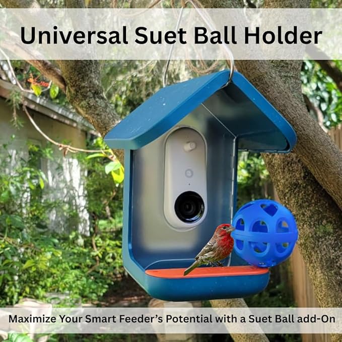 Blue Suet Balls Holder Cage – Bird Suet Feeder fits Smart Feeders for Cardinals, Woodpeckers, More – Durable Blue Bird Feeder Holder – Easy Install Feeders for Outside Hanging by Tezna Treasures