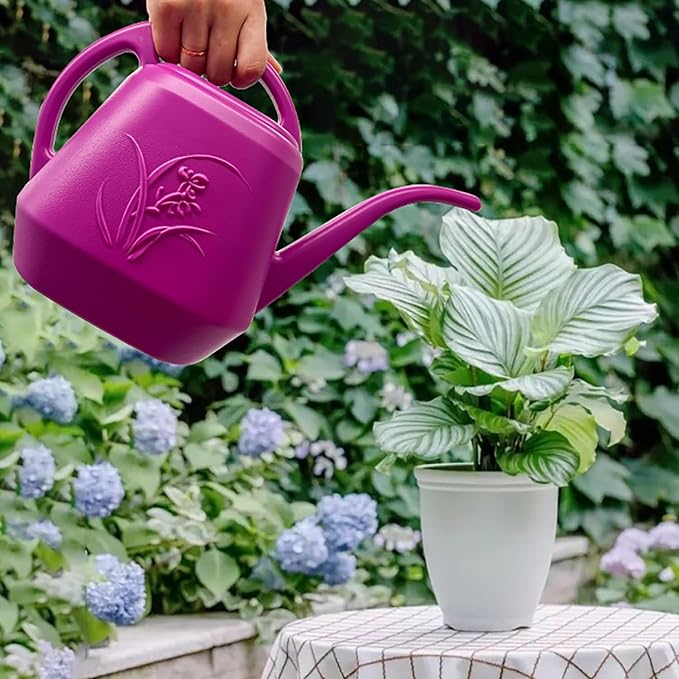 Plant Watering Can - Plastic for Indoor and Outdoor Home Plant - 1/2 Gallon - Rose Red