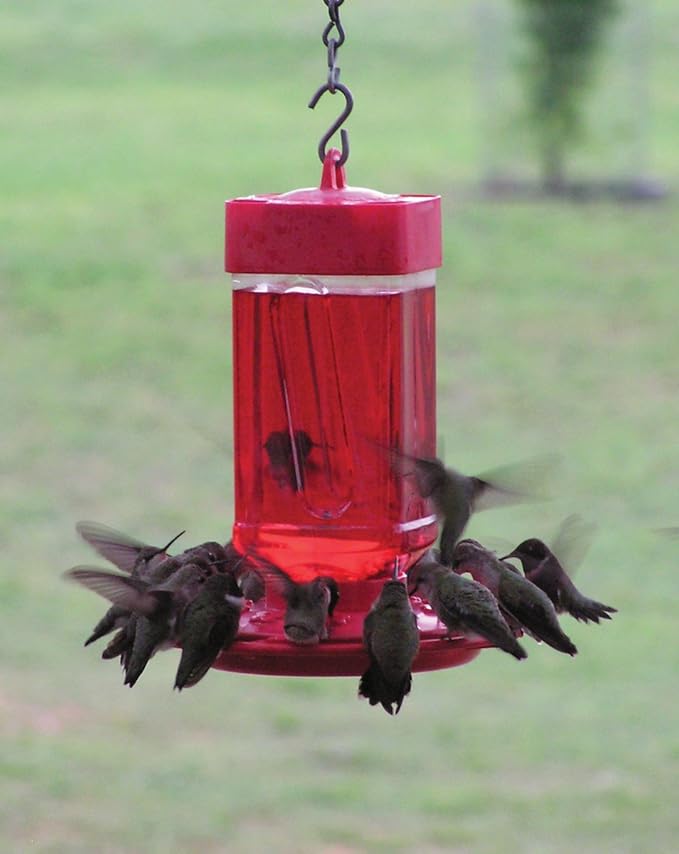 First Nature 32-Ounce Hummingbird Feeder with 10 Feeding Ports - Wide-Mouth Reservoir and Leakproof Sealing Ring - Red