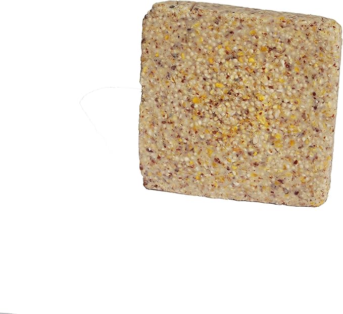 ST. ALBANS BAY SUET PLUS Suet Cake 15 Pack | 11 oz. Suet Cakes for Wild Birds| (Mega Mix)