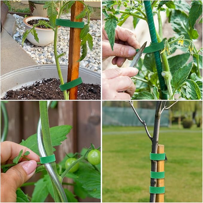 Green Plant Tape for Climbing Plants - Strong-Grip Reusable Garden Tape & Adjustable Plant Supports Ties for Outdoor Plants Growth (32.8 ft x 0.6 inch)