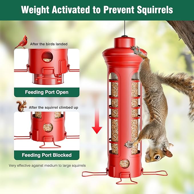 Squirrel Proof Metal Bird Feeder, Removable Base for Cleaning, Weight Activated Perches, 3 Lbs Capacity, Weatherproof & Rust Proof, Outdoor Hanging Bird Feeder for Cardinals, Finches
