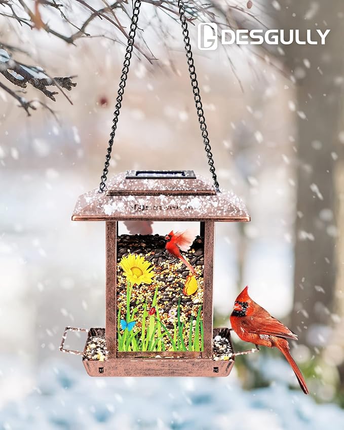 Solar Bird Feeders for Outdoors - 2.5 LBs Metal Wild Large & Small Bird Feeder for Outside Hanging, Gift Ideas for Avian Enthusiast Garden Yard Seeds (Chew-Proof, Weather Resistance)