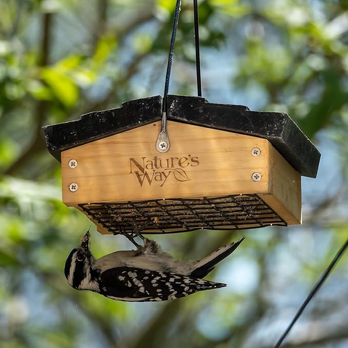 Nature's Way Bird Products CWF2 Cedar Suet Upside-Down Bird Feeder, Black
