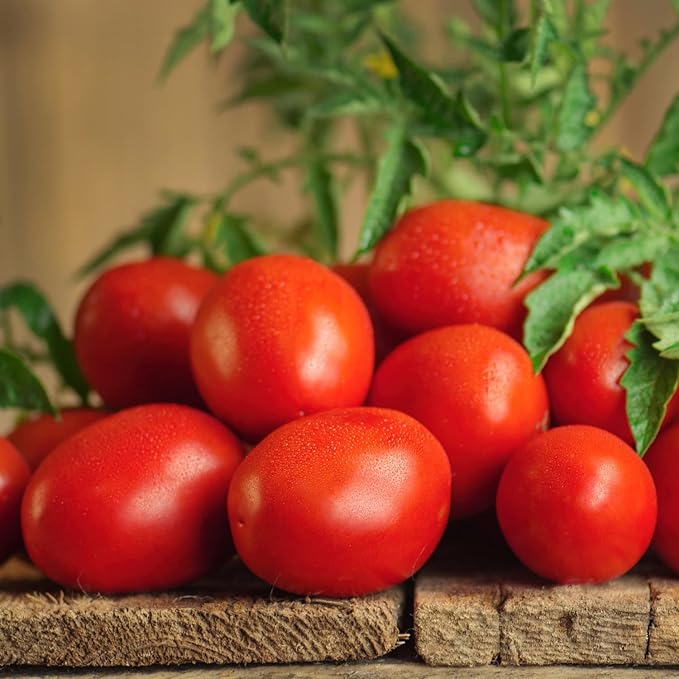 Bonnie Plants Roma Classic Paste Tomato - 4 Pack Live Plants, Great For Sauces, 3 Inch Long Fruit, Determinate, Non-GMO, Brown/A