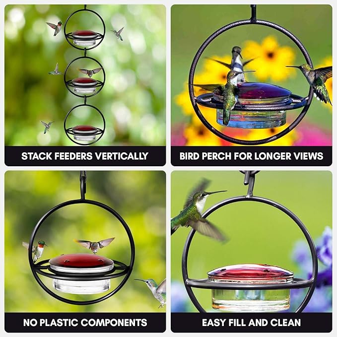 Hummingbird Feeder for Outdoors Hanging, 3.4 OZ Hummingbird Feeders, Glass Bowl with 4 Feeding Ports, Leak Proof Lid & Circular Perch, Bird Feeder (1, Black)