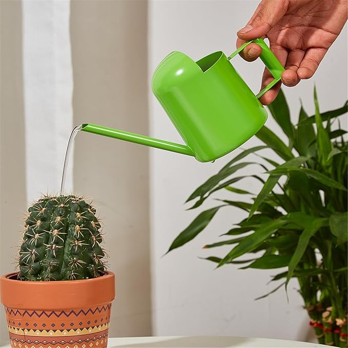 Watering Can for Indoor Plants, Small Watering Cans Sprinkling Pot for Greenhouse Garden Flower Plants, Stainless Steel Long Spout Water Can for Outdoor Watering Plants, 300ML/0.08 Gallon (Green)