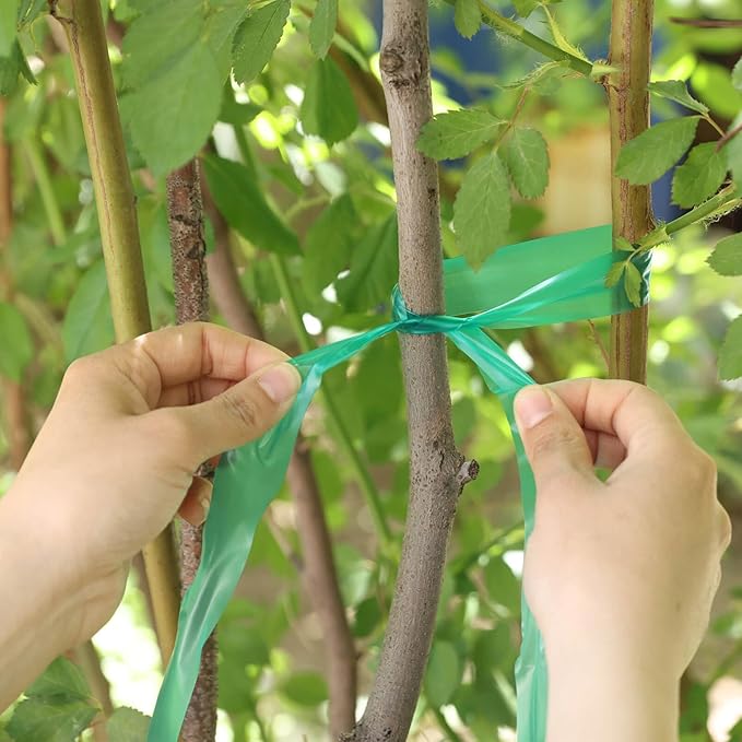Easytle Stretch Tie Tape Roll, Total 2 Rolls 0.5“ x 150 Ft & 1" x 150ft Green Plant Garden Tie Tape Reusable Thick Sturdy Plant Ties Ribbon Garden Vinyl Stake for Indoor Outdoor Patio Plant Use