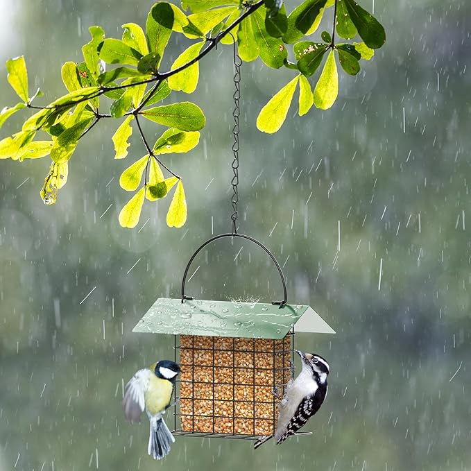 Bird Feeder for Outdoors, Suet Feeder Hanging, Attracts Nuthatches, Woodpeckers, Creepers, Weatherproof Bird Feeders for Wild Birds Woodpecker, Single Suet Cage for Outdoor
