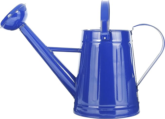 Metal Outdoor Watering Can, 1.2 Gallon Galvanized Steel with Sprinkler Head – Blue