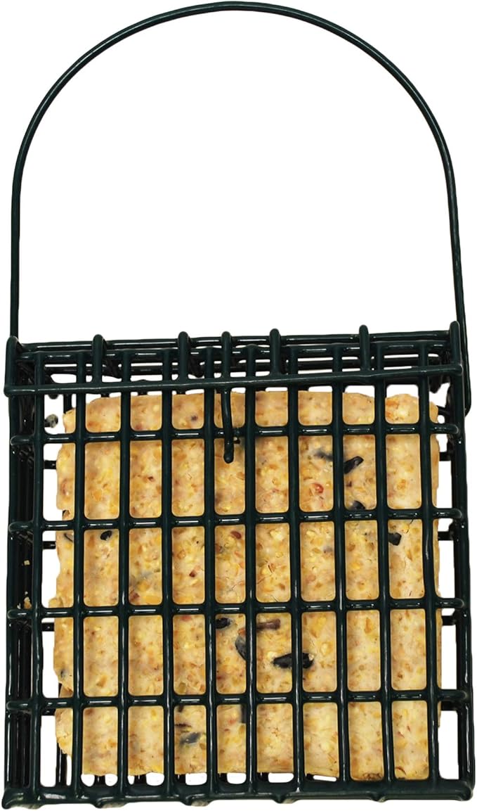 Wildlife Sciences Suet Feeder Cage Suet Cake Combo for Wild Birds | Includes 1 Suet Feeder and 11 Ounce Nuts and Berry Cake