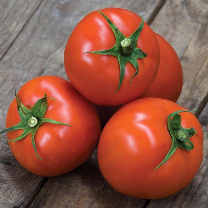 Burpee 'Super Beefsteak' Tomato Seeds for Planting - Non-GMO, Indeterminate, Beefsteak Slicing Tomato, 120mg Seed Packet for Home Gardening