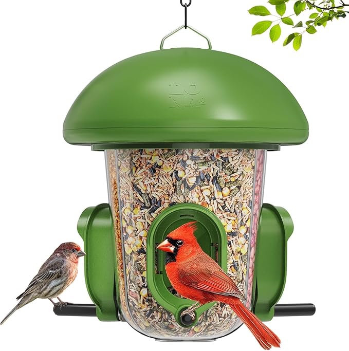 LONA Bird Feeders for Outdoors Hanging – 3 Separate Compartments, 3 Feeding Ports, Weatherproof Dome & 3 Ways to Hang, Large Capacity for Cardinals/Finches (Green