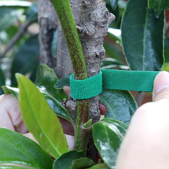 Garden Tape, 65.6 Ft Plant Tape, Reusable Plant Garden Ties, Plant Supports for Climbing Plants, Adjustable Plant Straps for Gardening, Home, Office (65.6 ft x 0.6 inch)