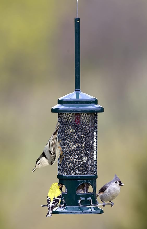 Squirrel Buster Standard Squirrel-Proof Bird Feeder w/4 Metal Perches,1.3-Pound Seed Capacity,Garden Green,(Pack of 4)