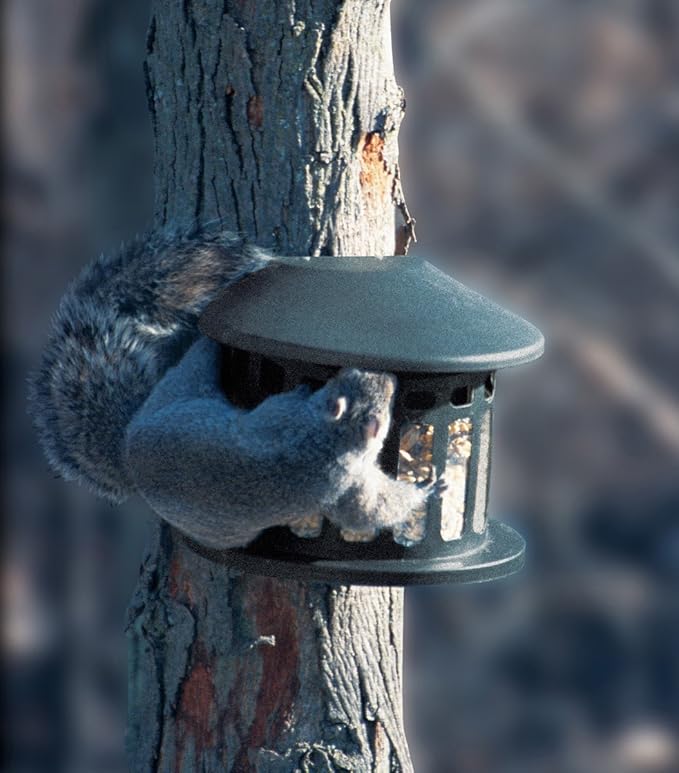 Woodlink Squirrel Diner Feeder Model 75590