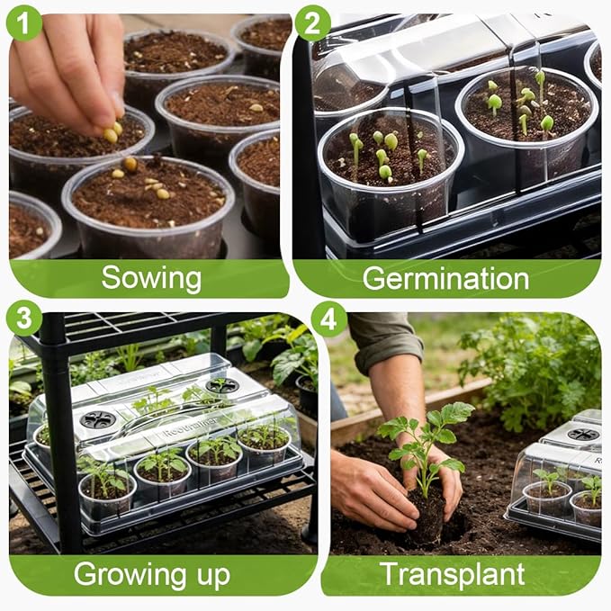 5 Pack 12 Cell Nursery Pot Trays with Adjustable Humidity Domes & 4 Inch Clear Pots 60 Pack, Sturdy Seed Starting Kit for Greenhouse Garden, Reusable Plant Growing Germination 5 Sets
