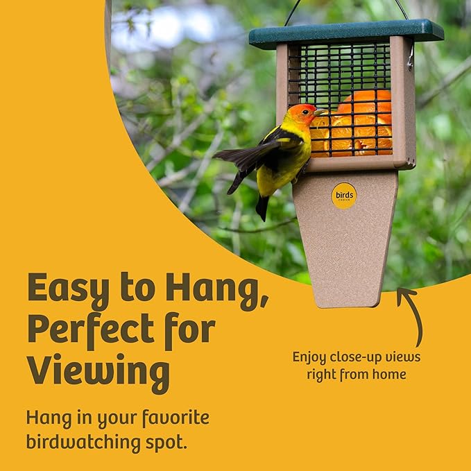 Birds Choice Suet Feeder with Tail Prop, Holds 1 Suet Cake | Hanging Suet Bird Feeder with Roof, Woodpeckers, Jays, Nuthatches | Sturdy for Garden & Backyard | Taupe & Green, 8" L x 3" W x 12" H