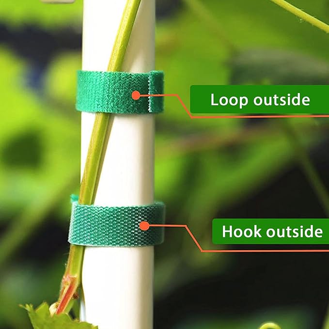 IFNOW Hook and Loop Cable Ties Reusable Fastening Tape Garden Tie Strap Plant Supports Gentle on Plants Plant Ties Garden Tape (Green, 0.4''/16FT, 2PCS)