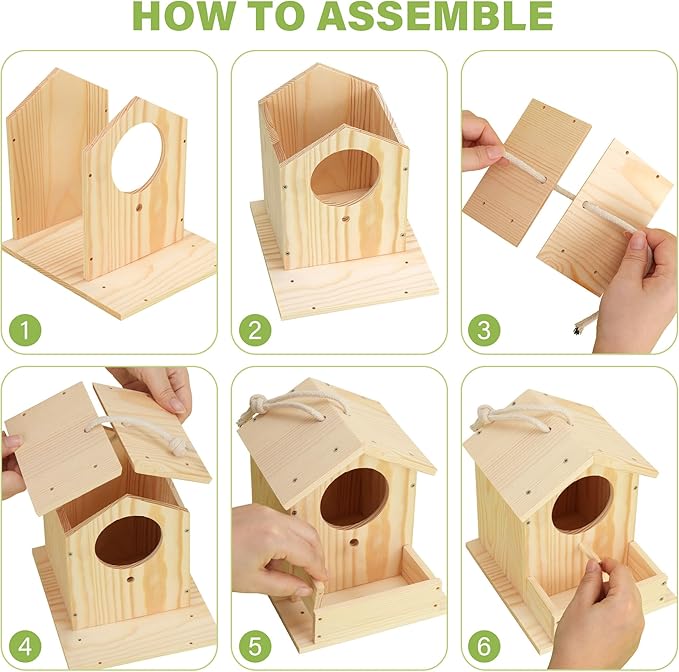 LotFancy Bird House Kit, 2 Pack, DIY Wooden Birdhouse Kits, Arts and Crafts Painting Kit for Kids, Build and Paint, Including Paints & Brushes