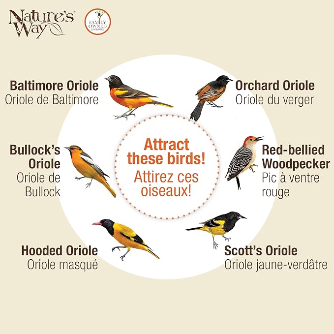 Nature's Way OFP1 All-in- Oriole Buffet Bird Feeder,Orange,(Pack of 6)