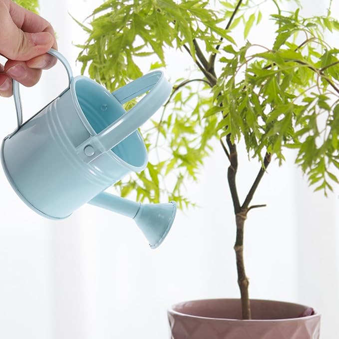 DOITOOL Metal Watering can Small 0.6L Portable Watering Pot with Long Spout for Indoor Outdoor Plants Garden Flowers Kids Watering can