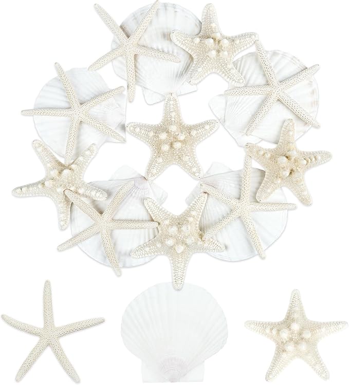 15 PCS Starfish and Scallop Shells, 2"-4" Natural Seashells White Seashells Large Seashells for Crafts Wedding Decor Beach Theme Party, Fish Tank and Vase Filler